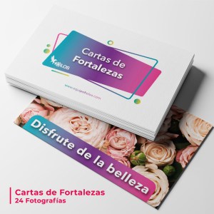 Catálogo Holos 24 Fortalezas (imágenes)